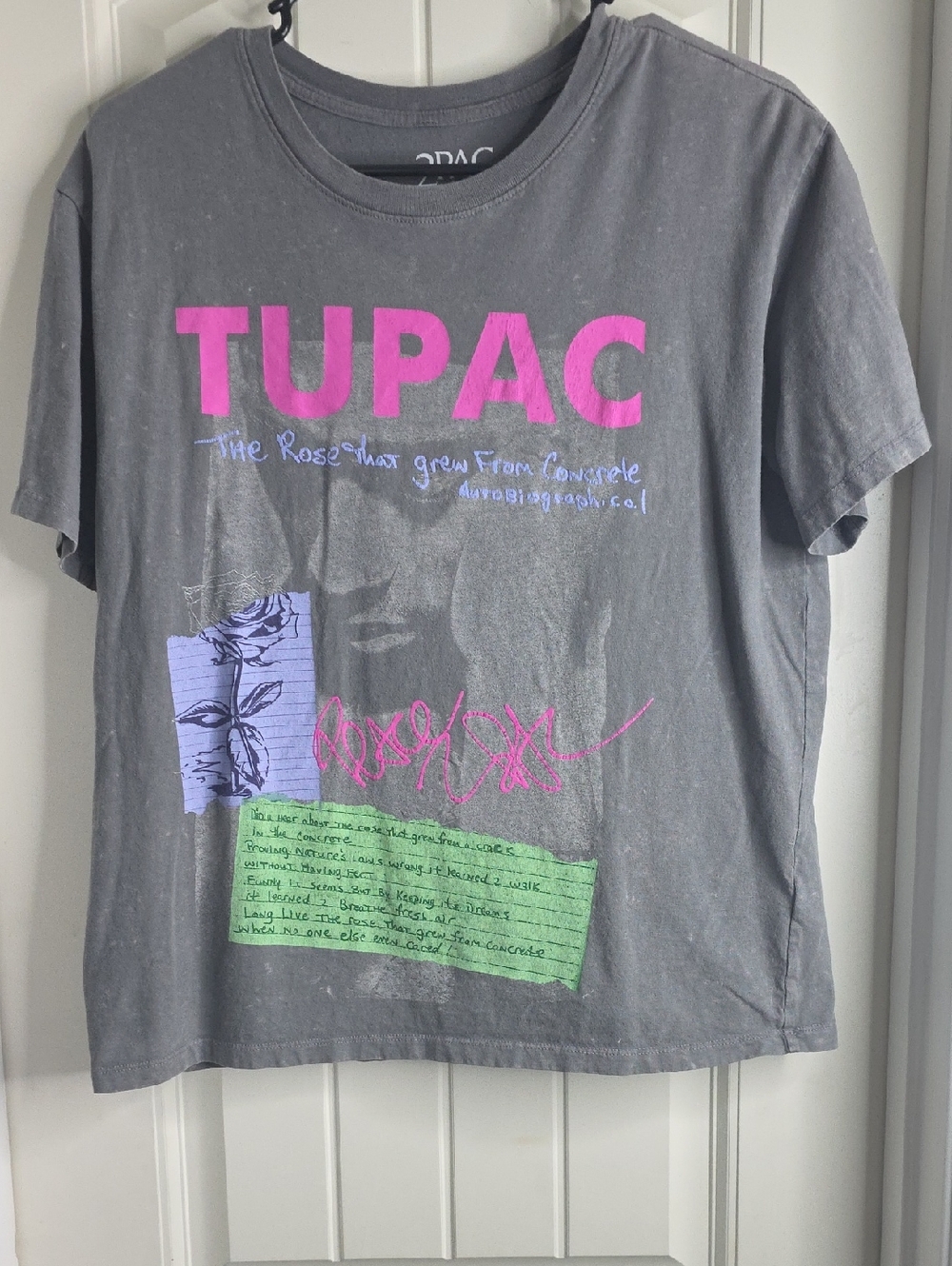 Tupac Short Sleeve Graphic Tee - Gray with Pink & Pastel Accents